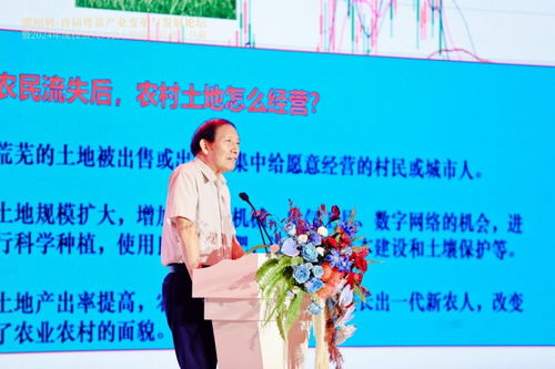 粵菜變革 抓住時代風口，以“新味”走出“圍城”